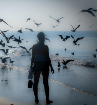 Girl And Seagulls - Obrázkek zdarma pro 128x128