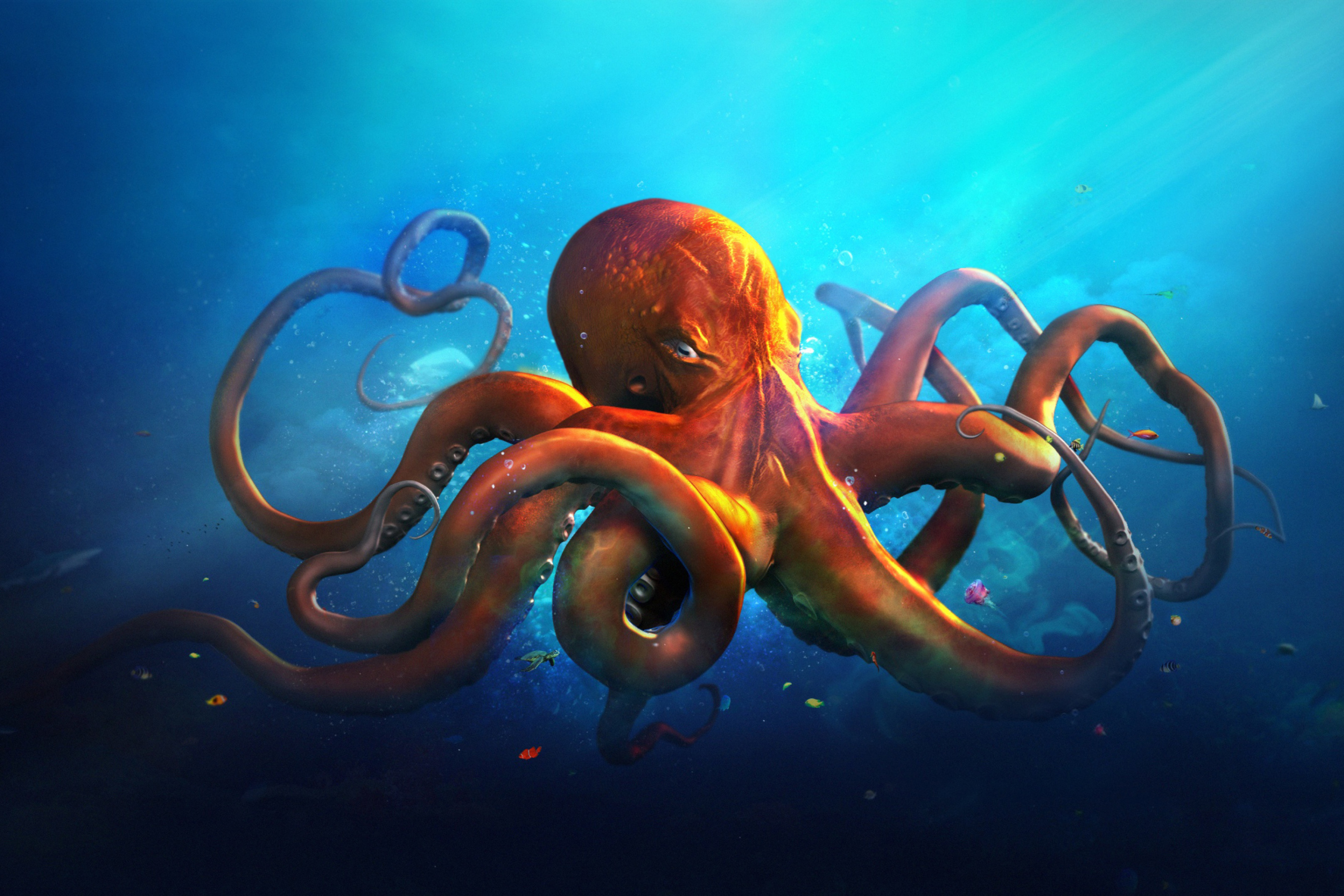 Das Octopus HD Wallpaper 2880x1920