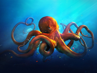 Octopus HD wallpaper 320x240