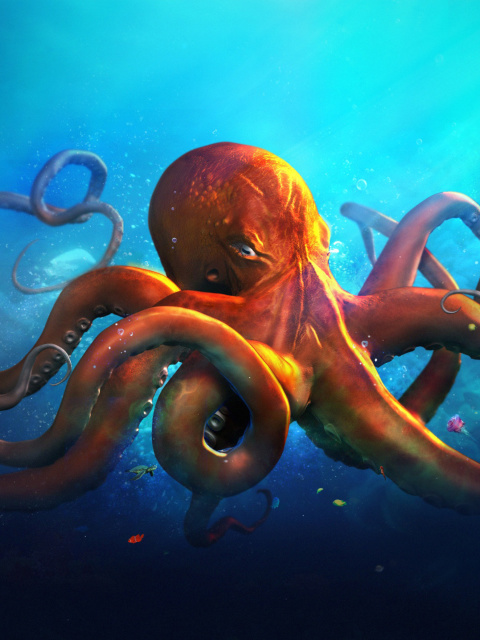 Das Octopus HD Wallpaper 480x640