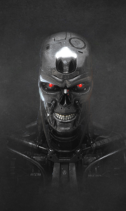 Screenshot №1 pro téma Terminator Endoskull 480x800