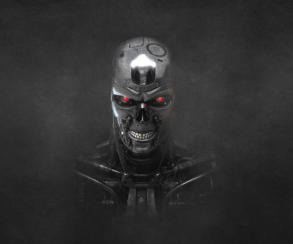 Terminator Endoskull wallpaper 960x800