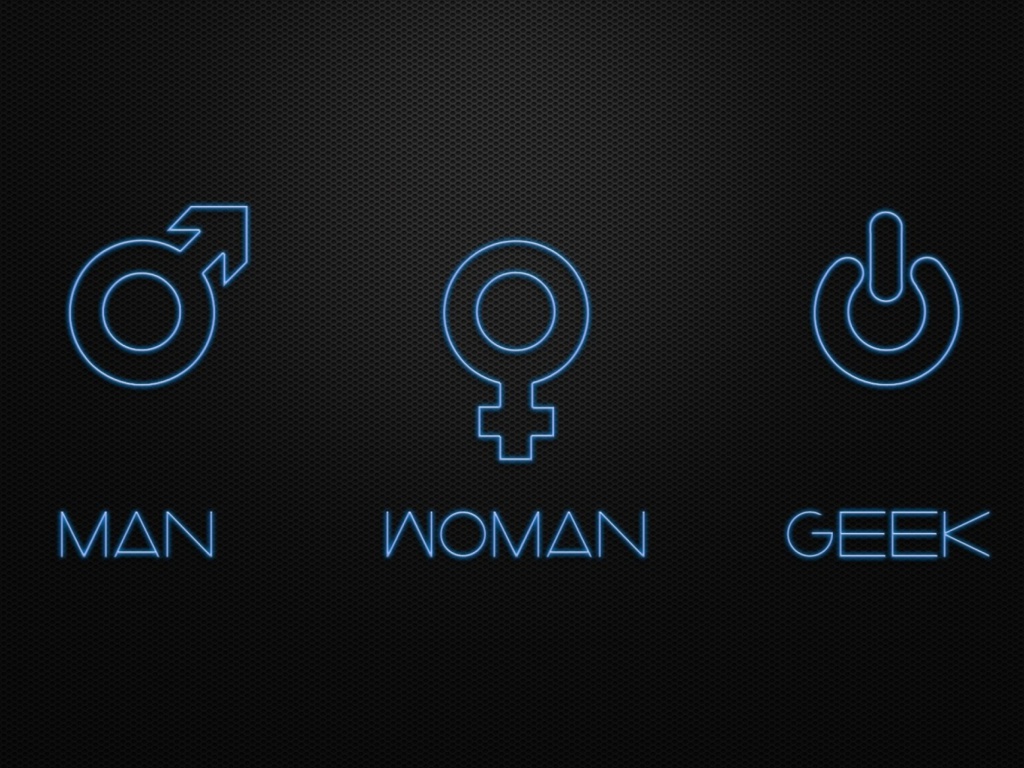 Screenshot №1 pro téma Man Woman Geek Signs 1024x768