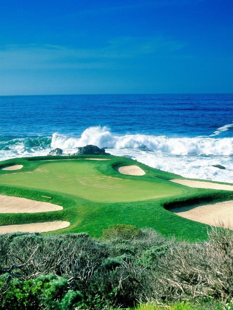 Das Golf Field By Sea Wallpaper 480x640