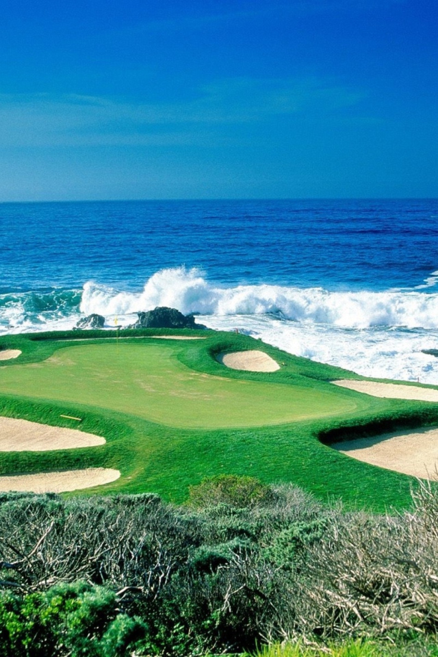 Обои Golf Field By Sea 640x960