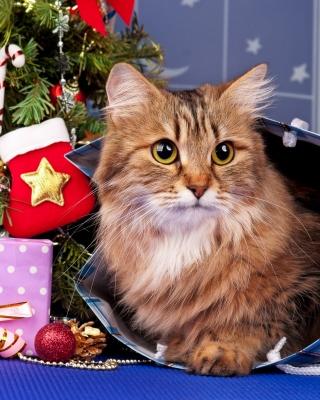 Merry Christmas Cards Wishes with Cat - Obrázkek zdarma pro Nokia C-Series