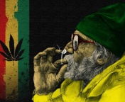 Das Rastafari and Smoke Weeds Wallpaper 176x144