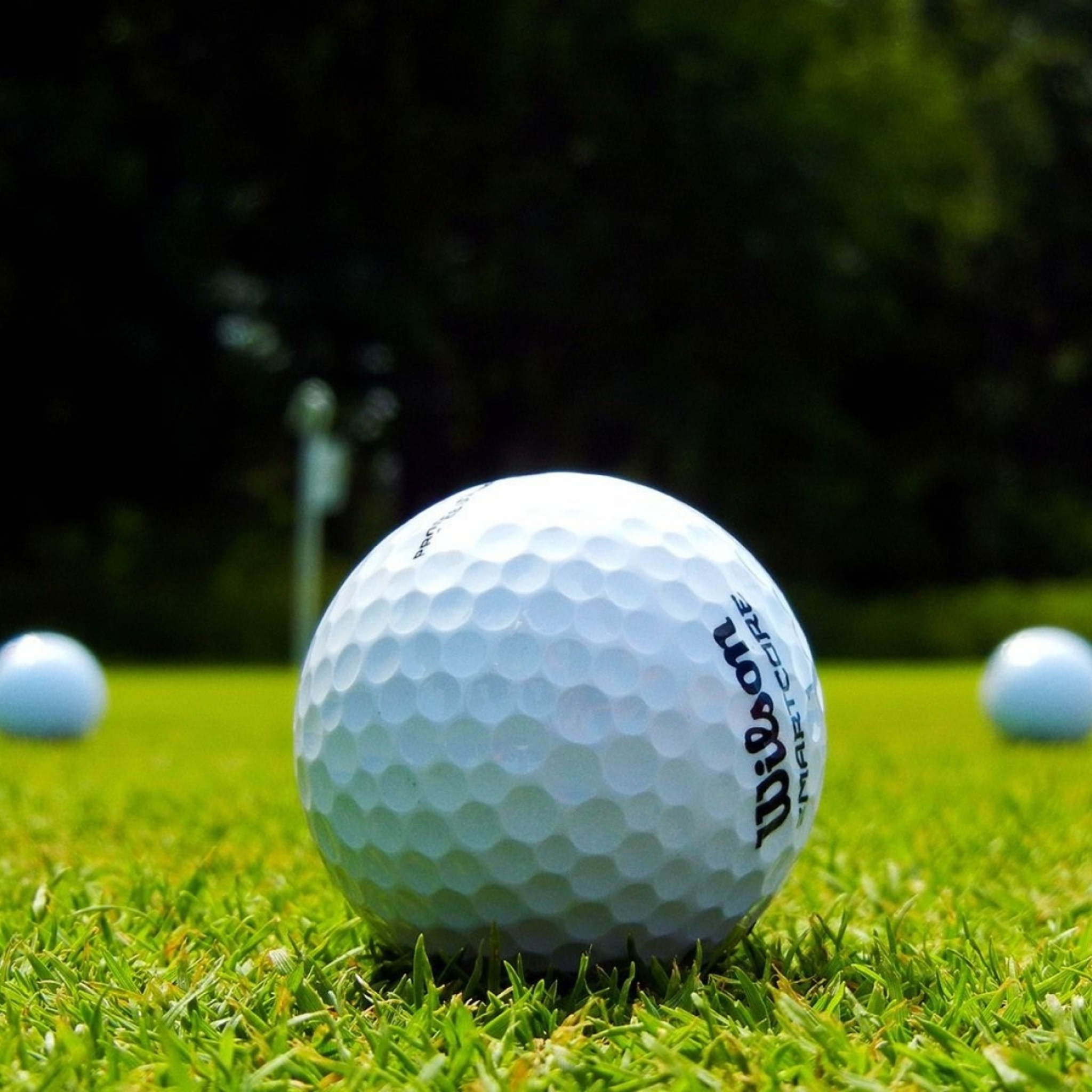 Golf Ball wallpaper 2048x2048