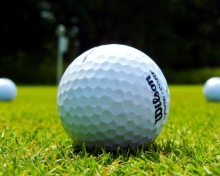 Screenshot №1 pro téma Golf Ball 220x176