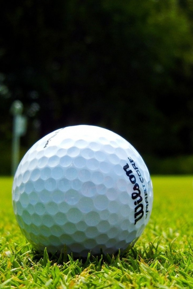 Обои Golf Ball 640x960