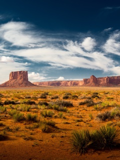 Desert and rocks screenshot #1 240x320