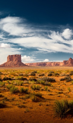 Fondo de pantalla Desert and rocks 240x400