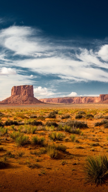 Desert and rocks wallpaper 360x640