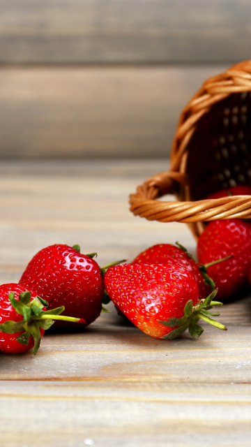 Обои Strawberry Fresh Berries 360x640