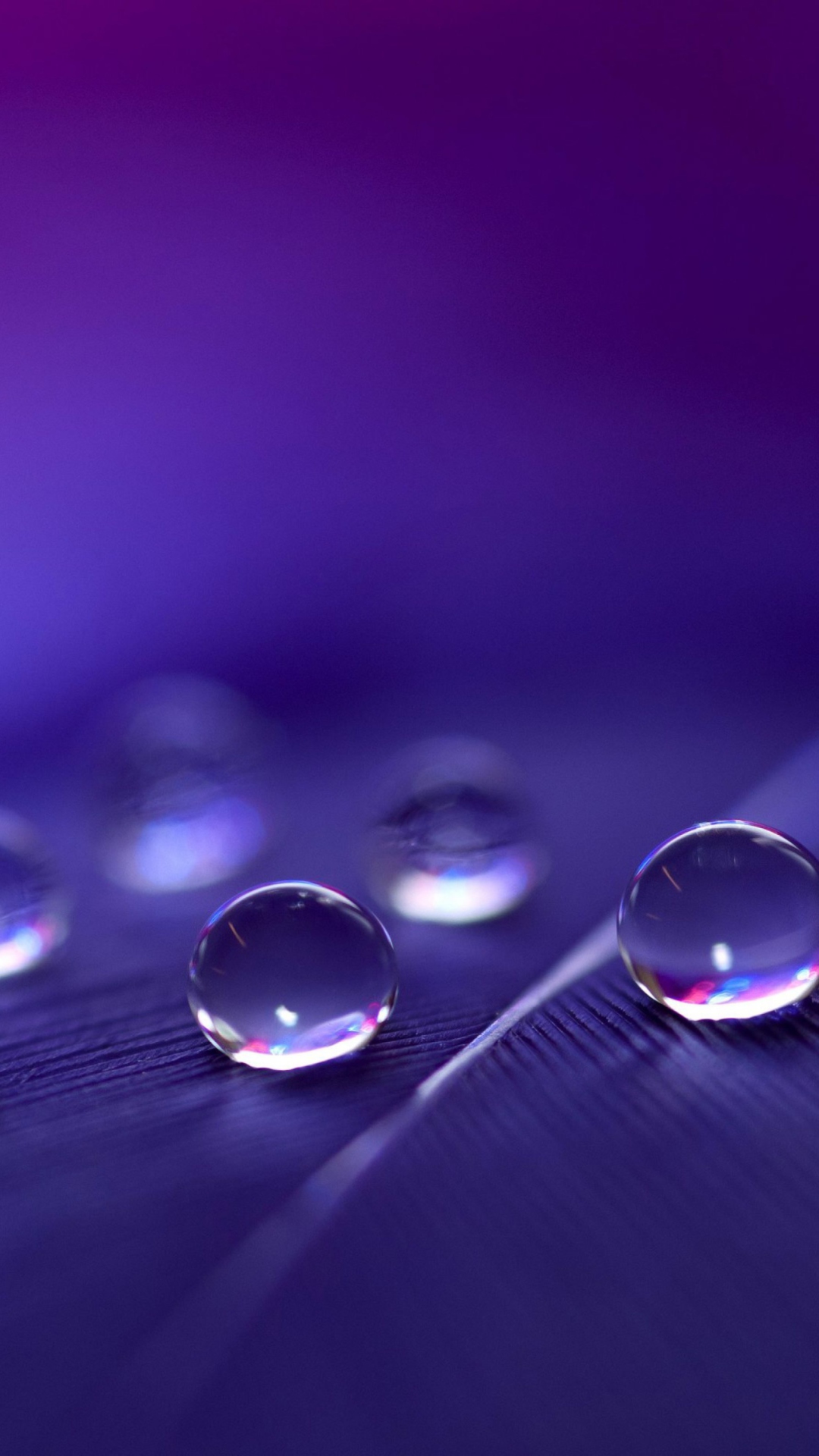 Fondo de pantalla Water Droplets 1080x1920