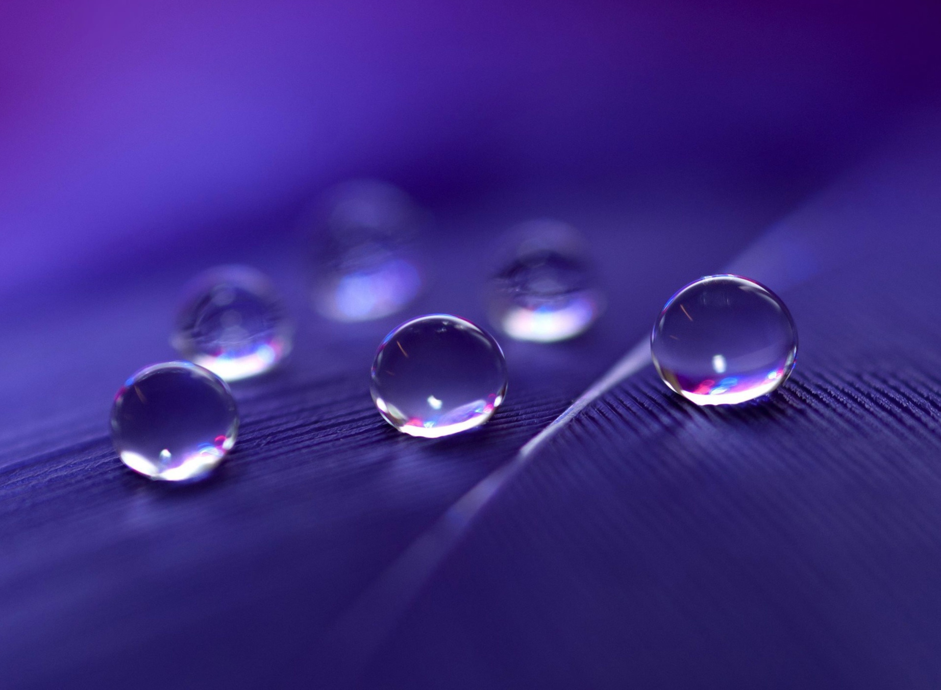 Fondo de pantalla Water Droplets 1920x1408