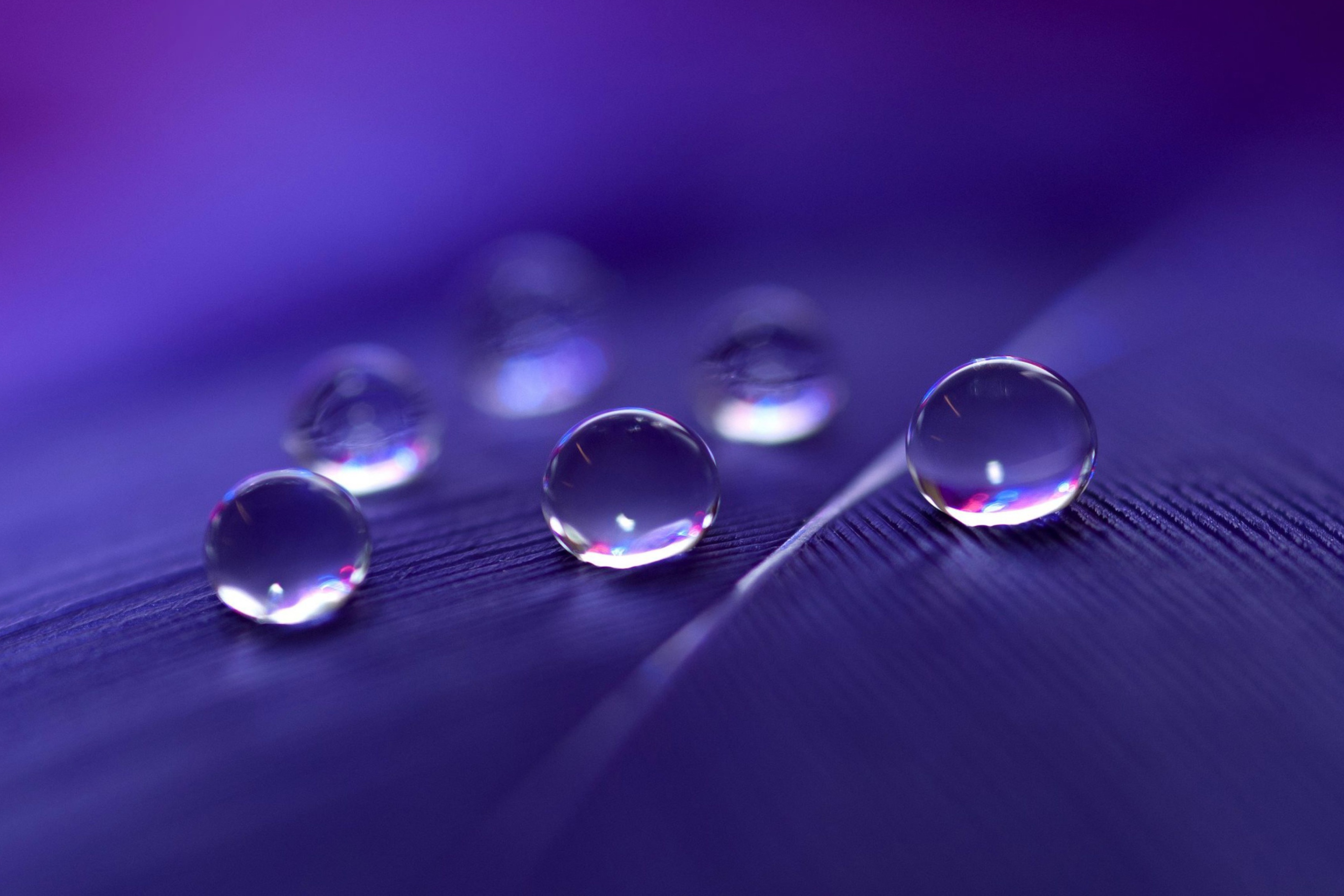 Water Droplets screenshot #1 2880x1920