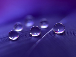 Sfondi Water Droplets 320x240