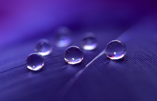 Water Droplets - Obrázkek zdarma pro 220x176