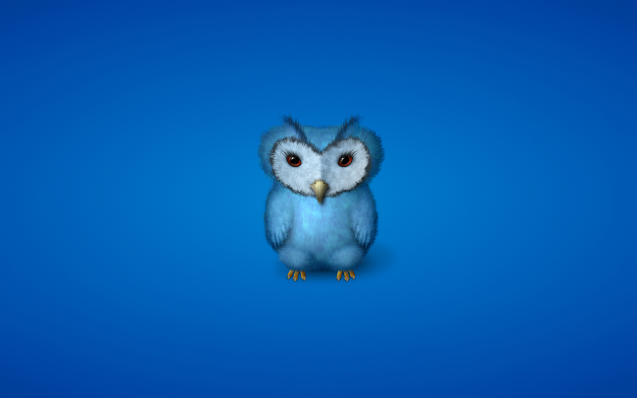 Screenshot №1 pro téma Blue Owl 1280x800