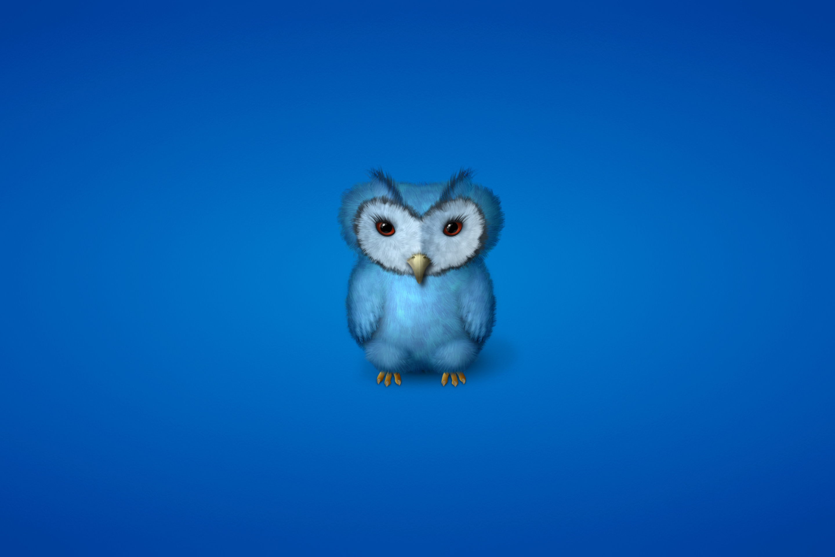 Das Blue Owl Wallpaper 2880x1920