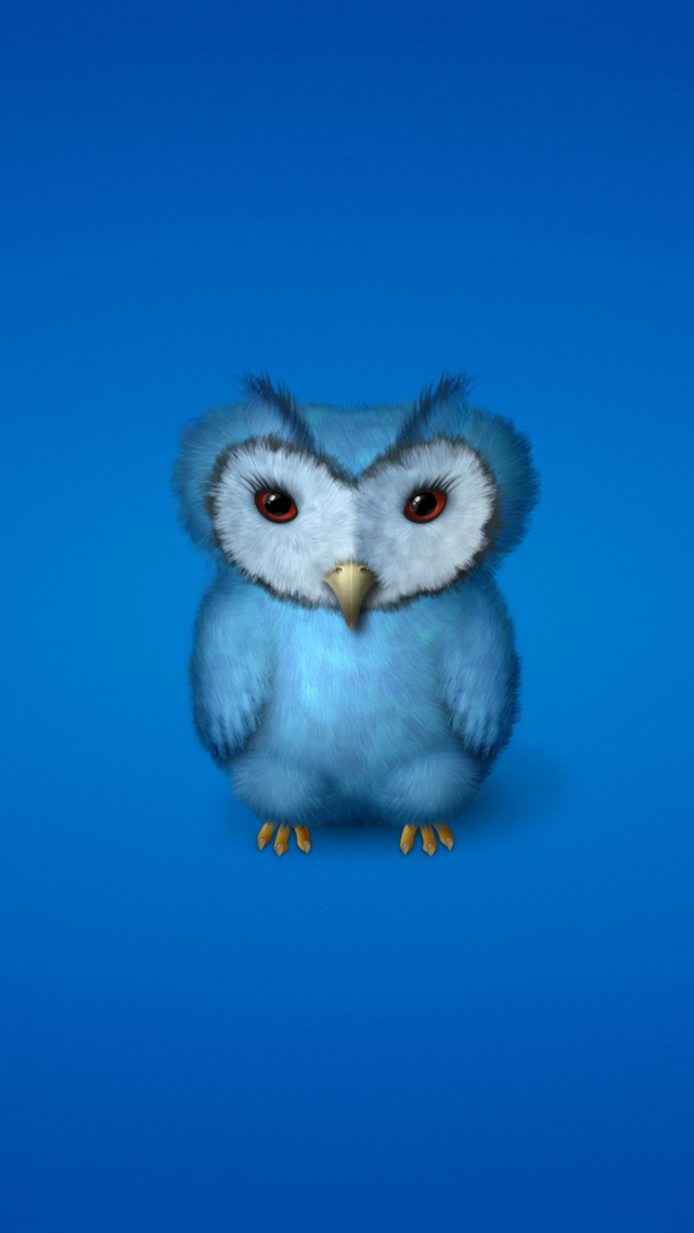 Sfondi Blue Owl 640x1136