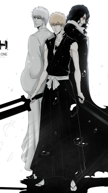 Fondo de pantalla Ichigo Kurosaki, Bleach 360x640