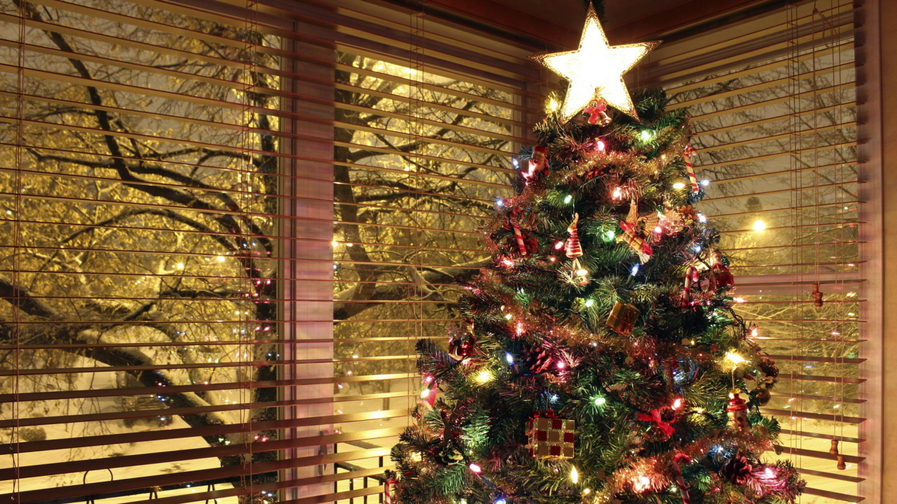 Christmas Tree With Star On Top screenshot #1 1280x720