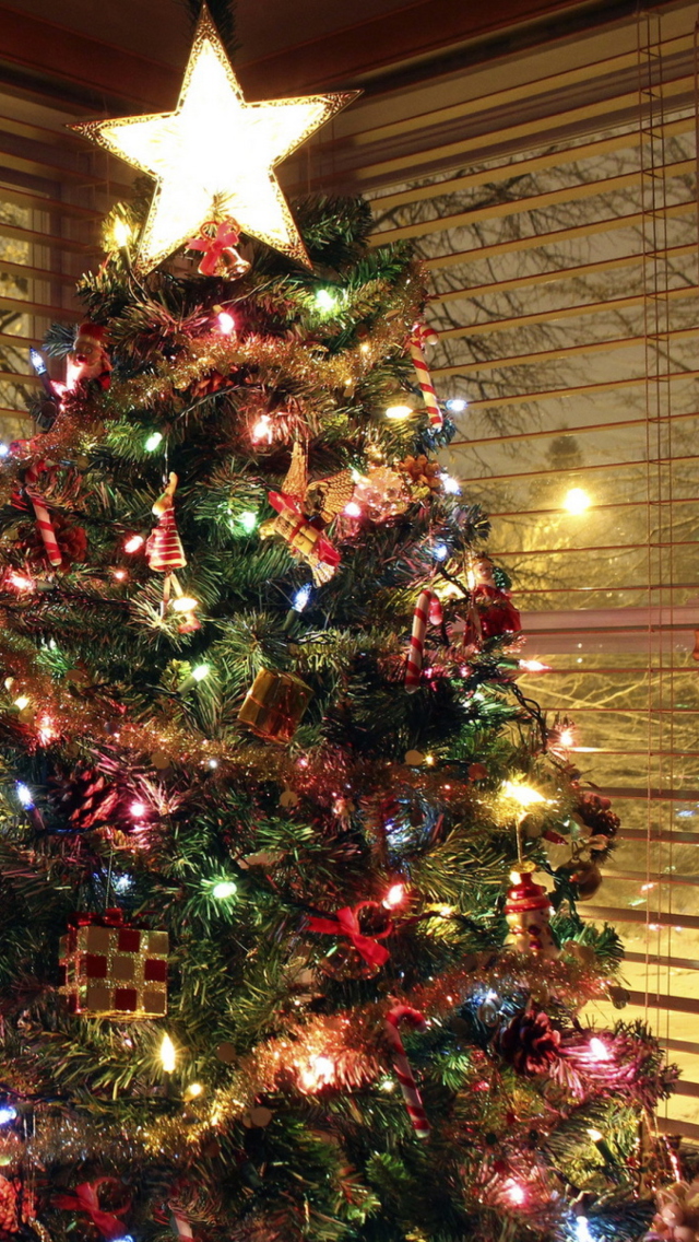 Sfondi Christmas Tree With Star On Top 640x1136