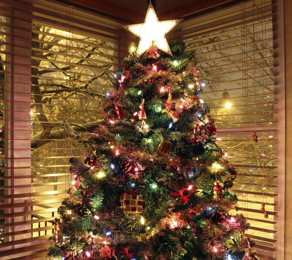 Sfondi Christmas Tree With Star On Top 960x854