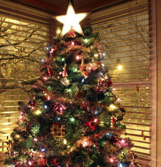 Christmas Tree With Star On Top - Obrázkek zdarma pro 128x128