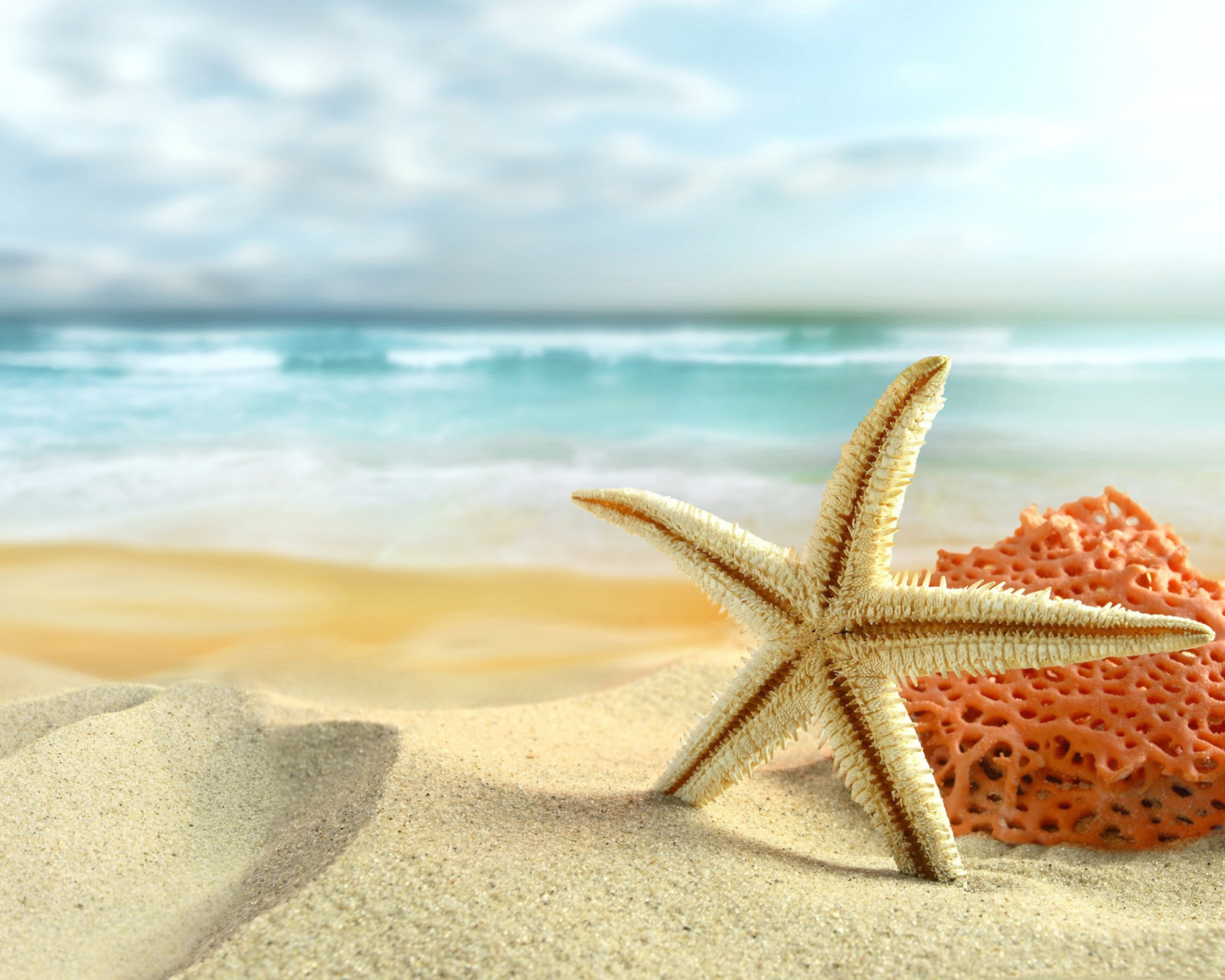 Das Starfish On Beach Wallpaper 1600x1280