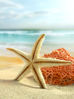 Fondo de pantalla Starfish On Beach 240x320