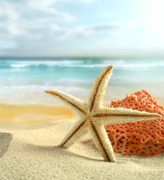 Starfish On Beach - Obrázkek zdarma pro iPad