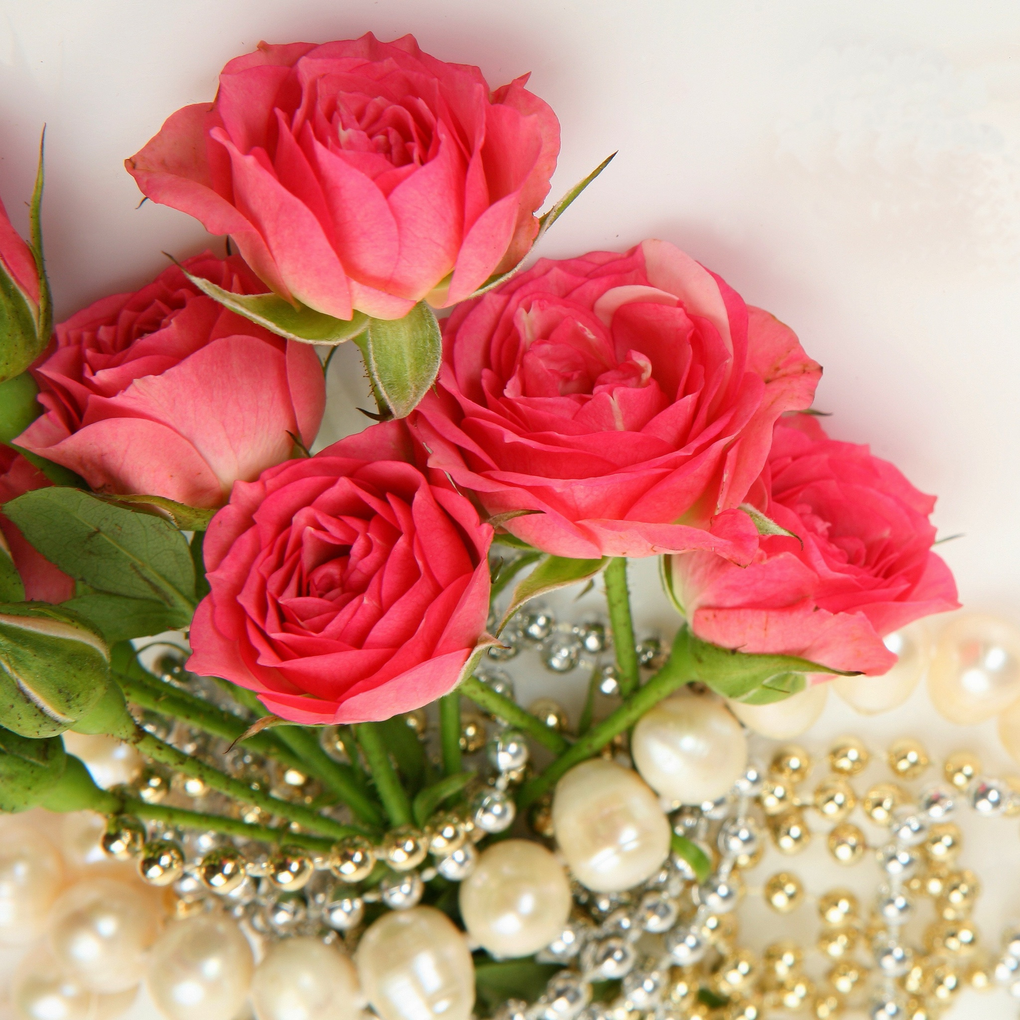 Fondo de pantalla Necklace and Roses Bouquet 2048x2048