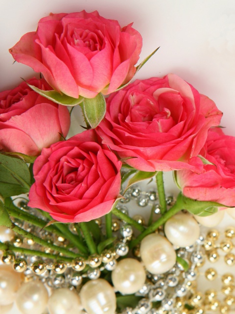 Necklace and Roses Bouquet screenshot #1 480x640