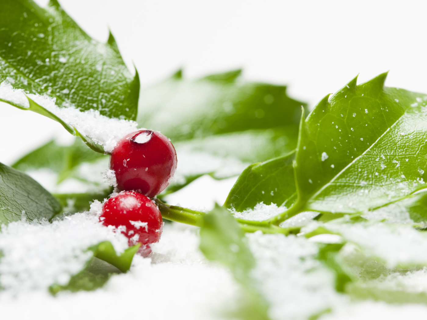 Frozen Cranberries wallpaper 1400x1050