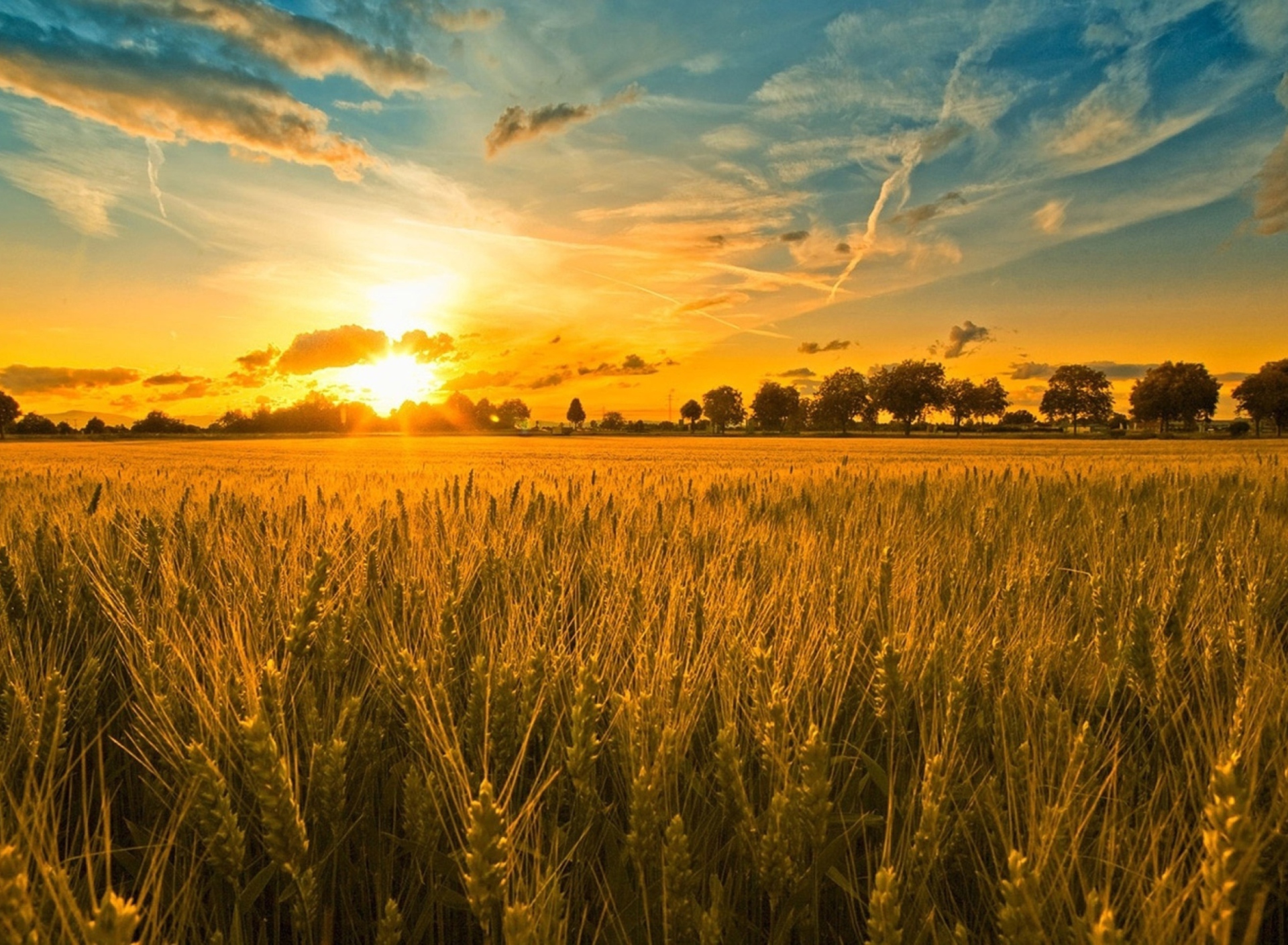 Screenshot №1 pro téma Sunset And Wheat Field 1920x1408