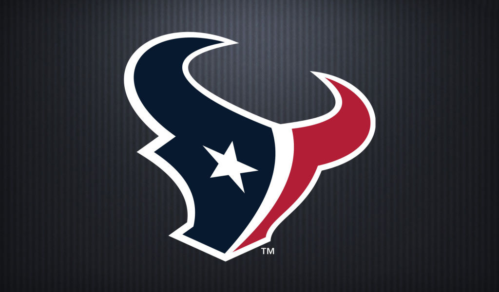 Das Houston Texans Wallpaper 1024x600