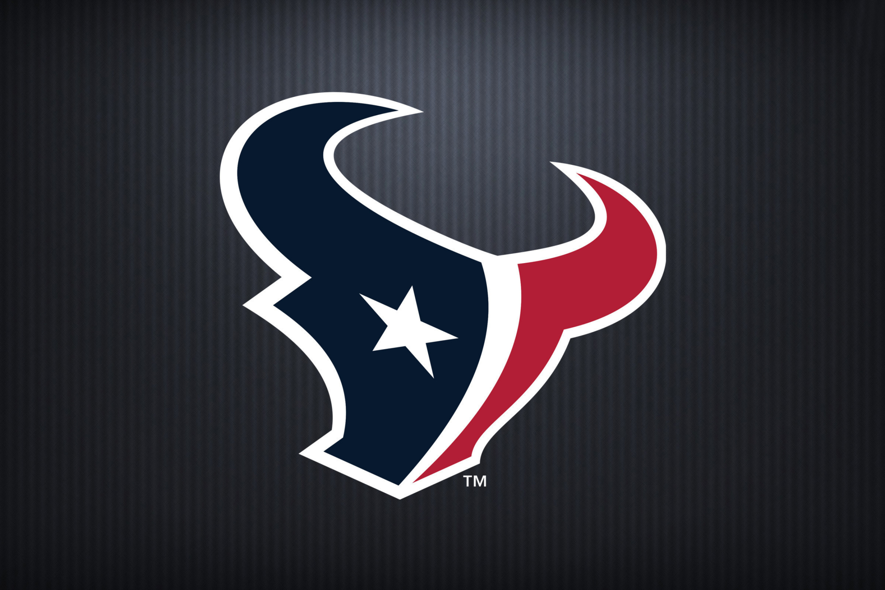 Screenshot №1 pro téma Houston Texans 2880x1920