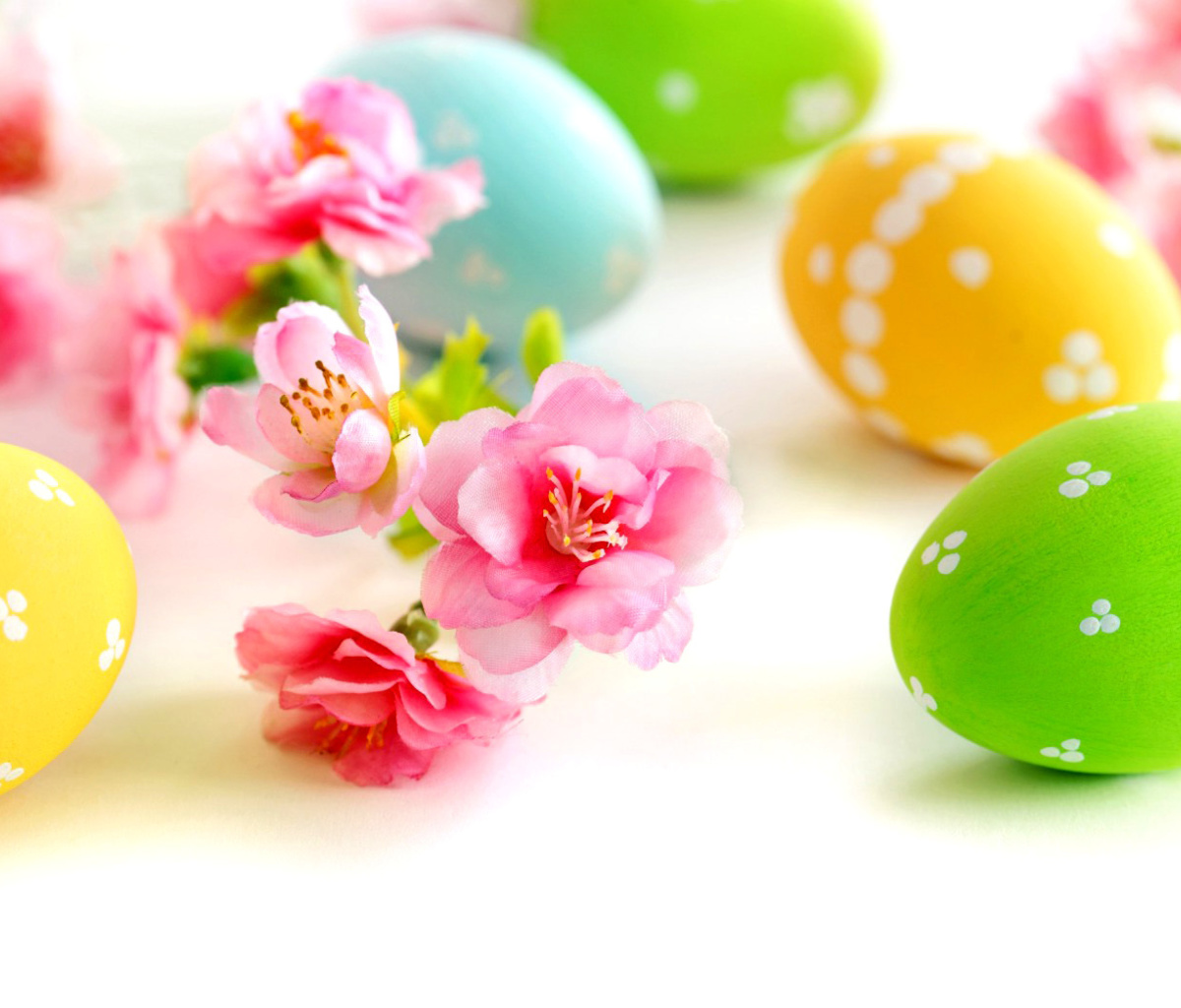 Fondo de pantalla Easter Eggs and Spring Flowers 1200x1024