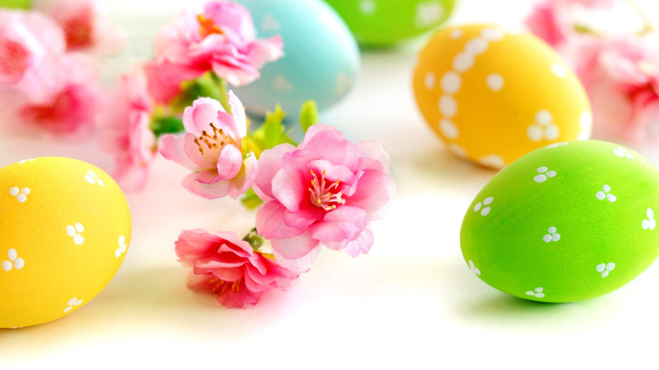 Fondo de pantalla Easter Eggs and Spring Flowers 1280x720