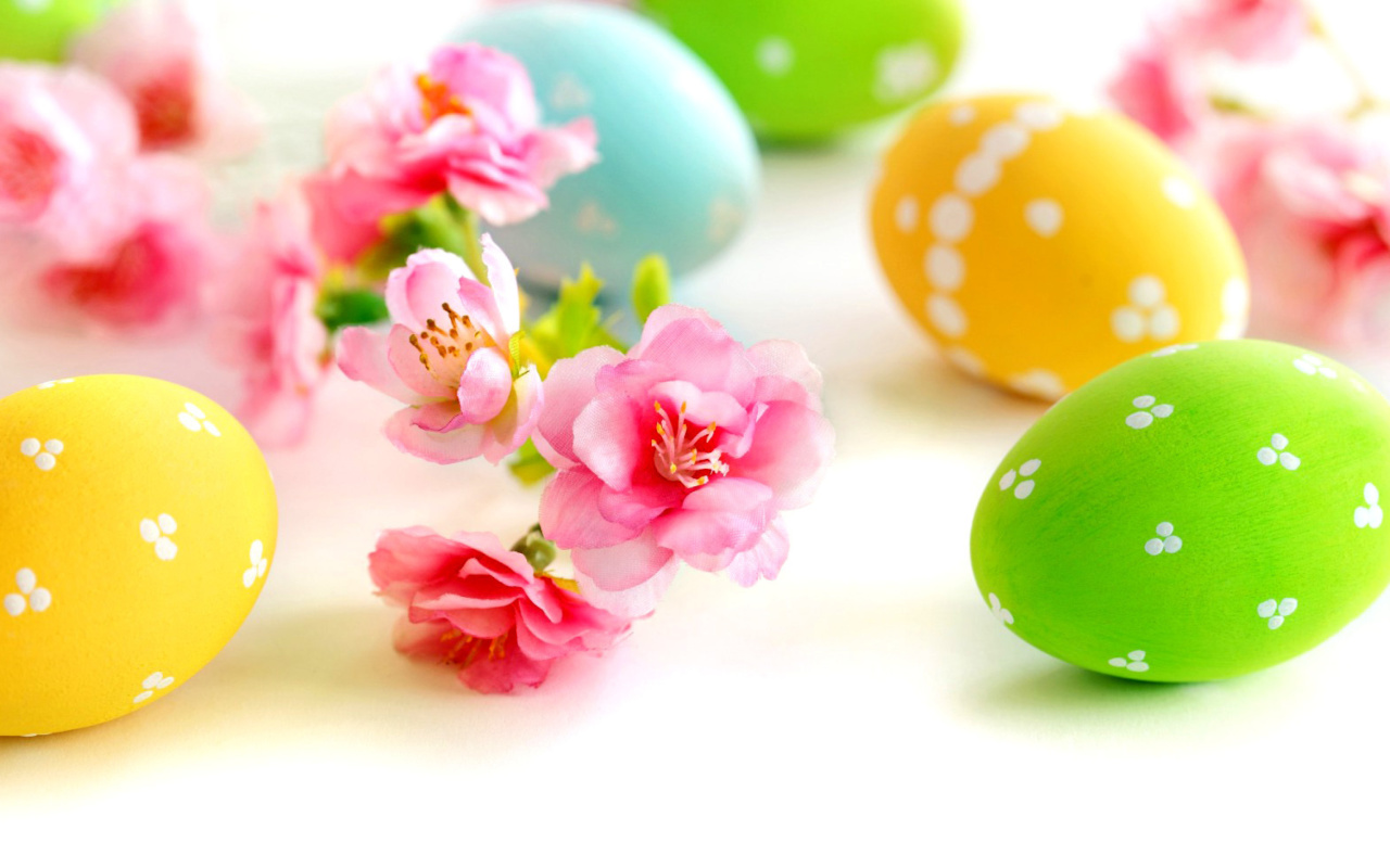 Fondo de pantalla Easter Eggs and Spring Flowers 1280x800