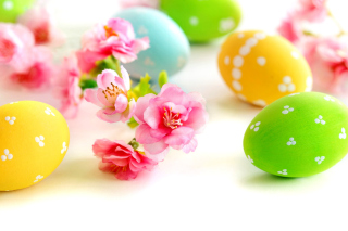 Easter Eggs and Spring Flowers - Obrázkek zdarma pro Widescreen Desktop PC 1600x900