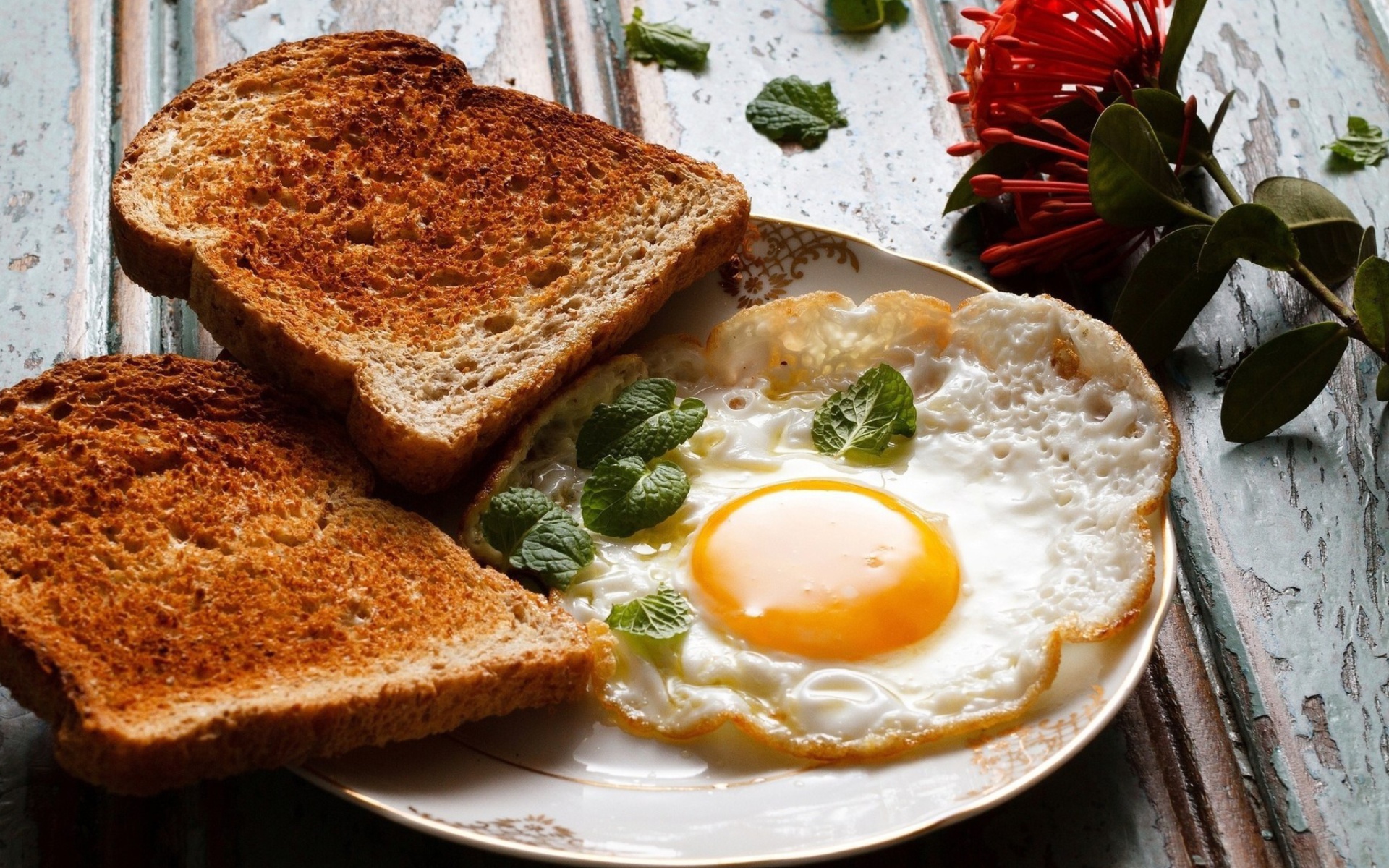 Sfondi Breakfast with toast and scrambled eggs 1920x1200