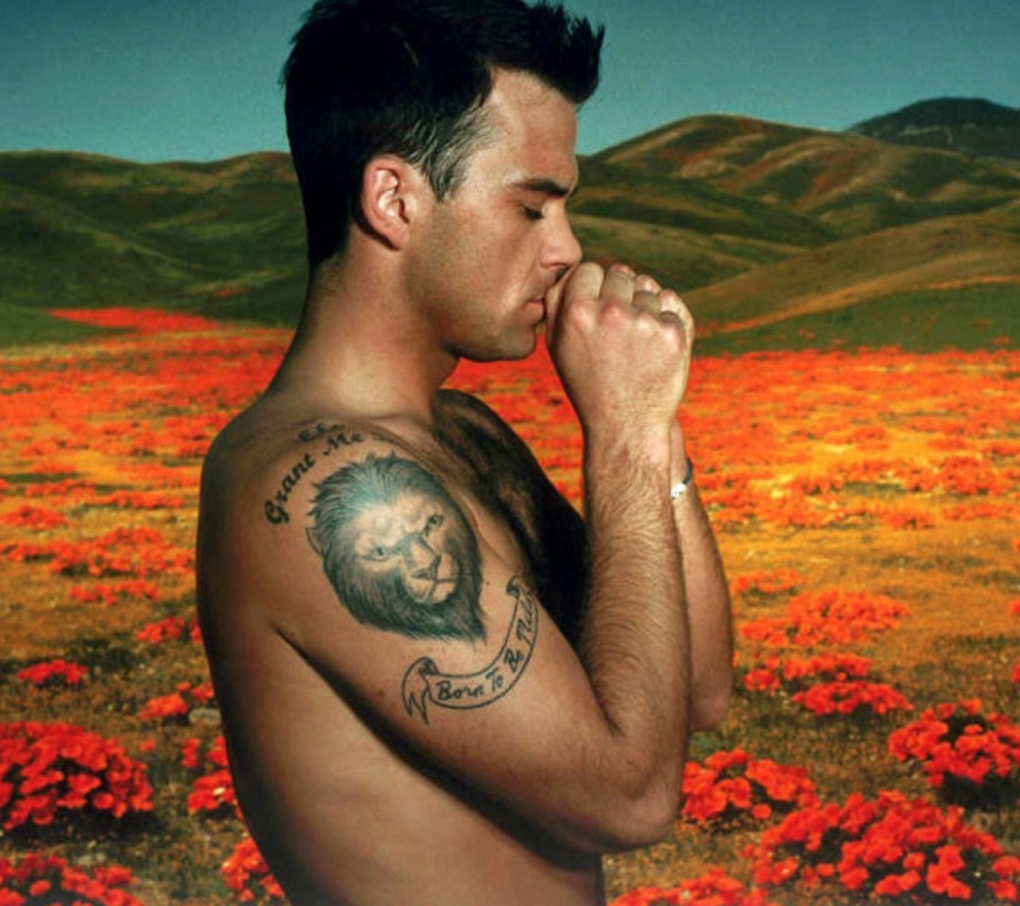 Das Robbie Williams Wallpaper 1440x1280