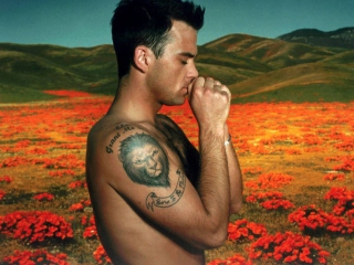 Fondo de pantalla Robbie Williams 320x240