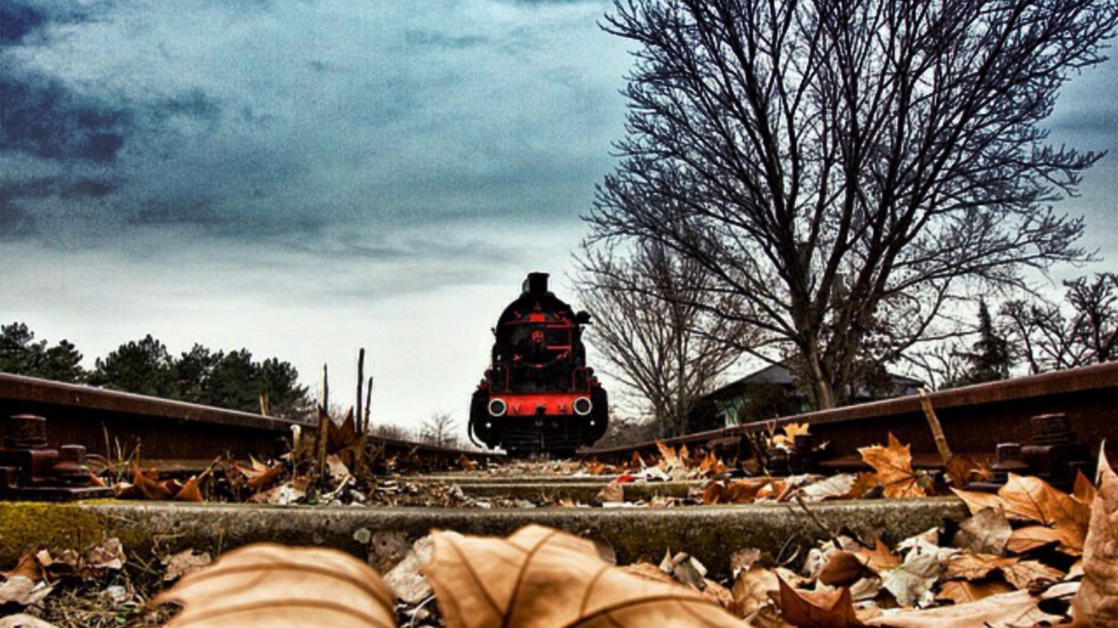 Обои Train On Railroad Tracks 1600x900