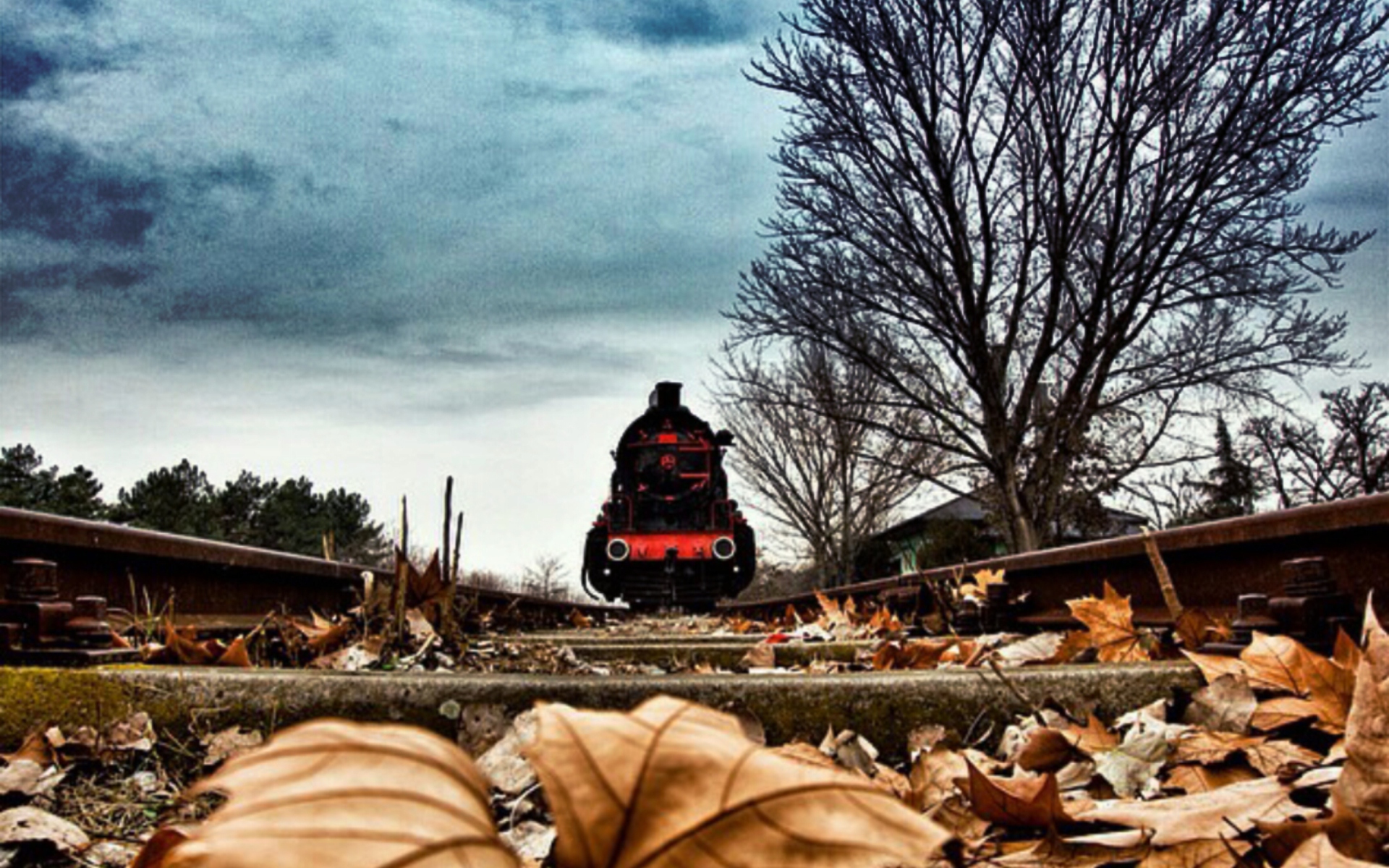 Обои Train On Railroad Tracks 1920x1200