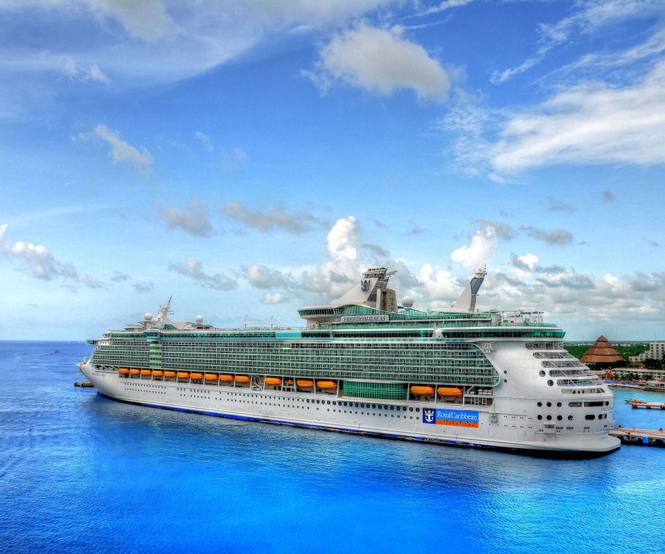 Sfondi Royal Caribbean Cruise 960x800